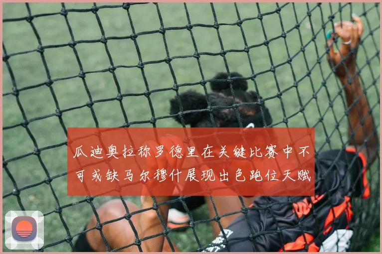 瓜迪奥拉称罗德里在关键比赛中不可或缺马尔穆什展现出色跑位天赋