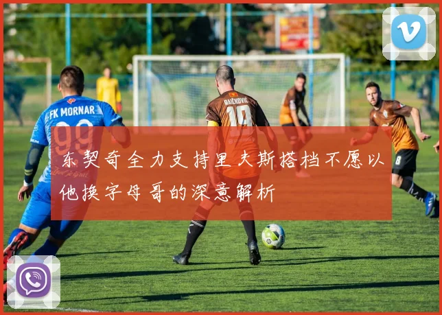 东契奇全力支持里夫斯搭档不愿以他换字母哥的深意解析